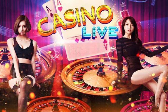 Rabbit Slot Live Casino